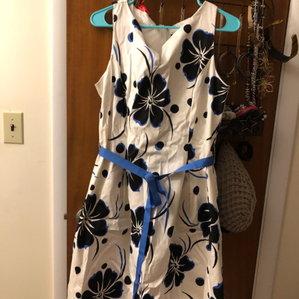 White and Blue Floral Dress